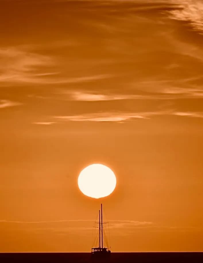 JWWaddlesPhotography image