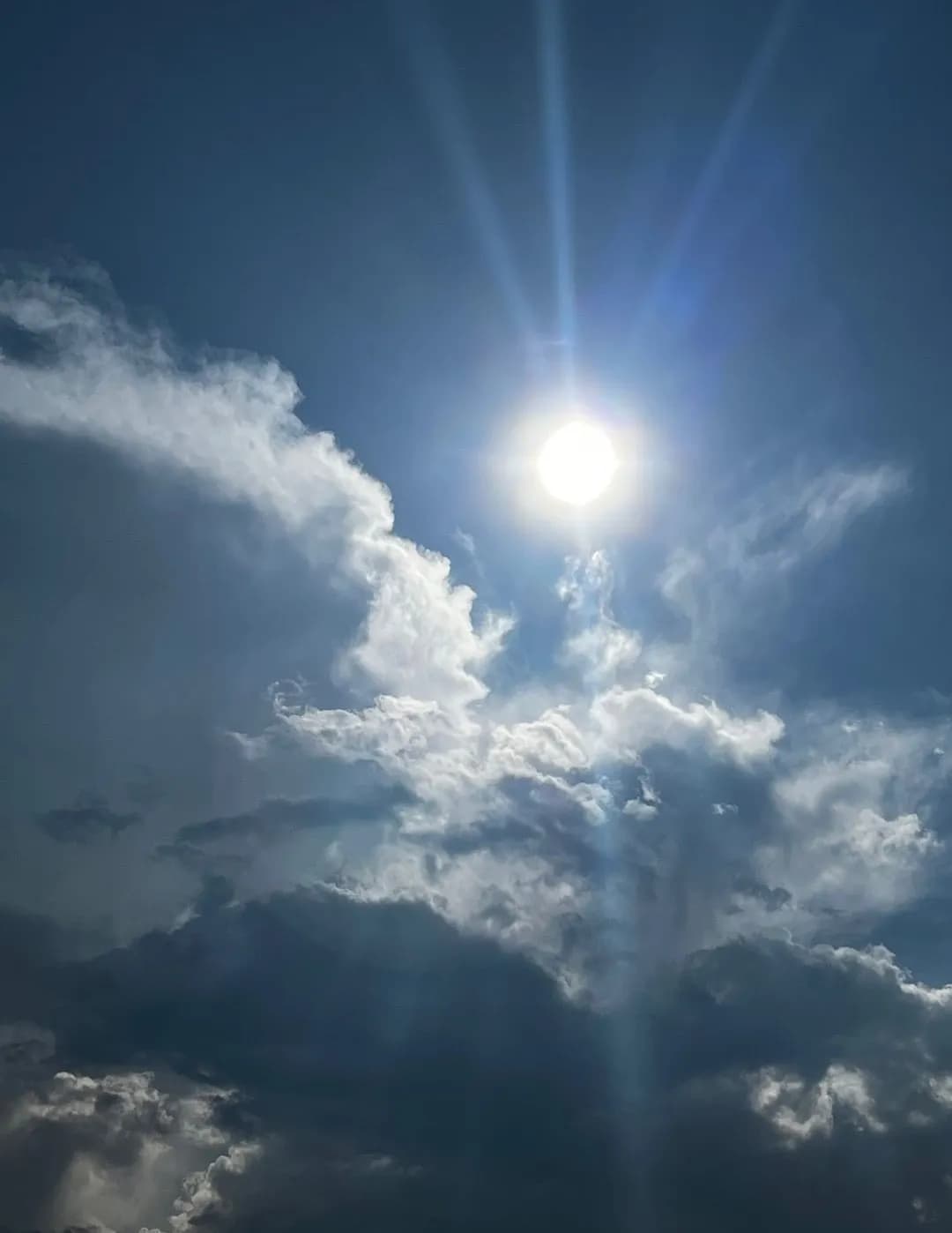 Tabatha Johns image