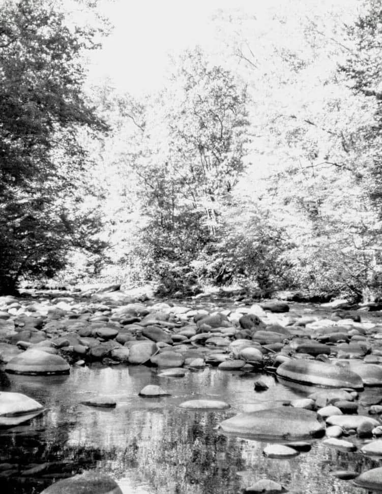 Hazystorms image