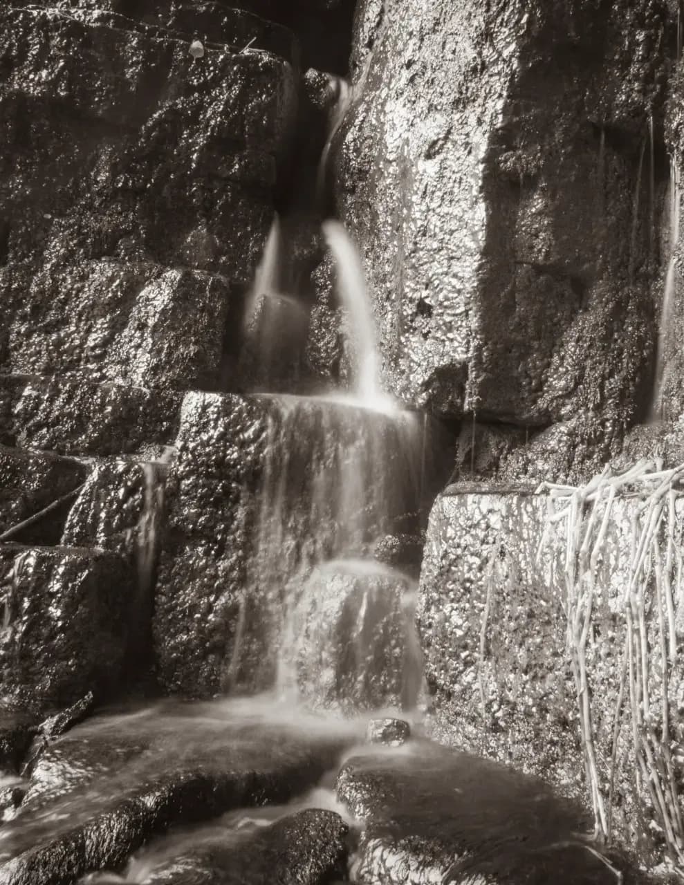Daniel Hindman image