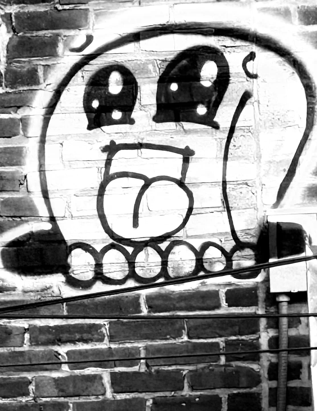 @shotby2zone image
