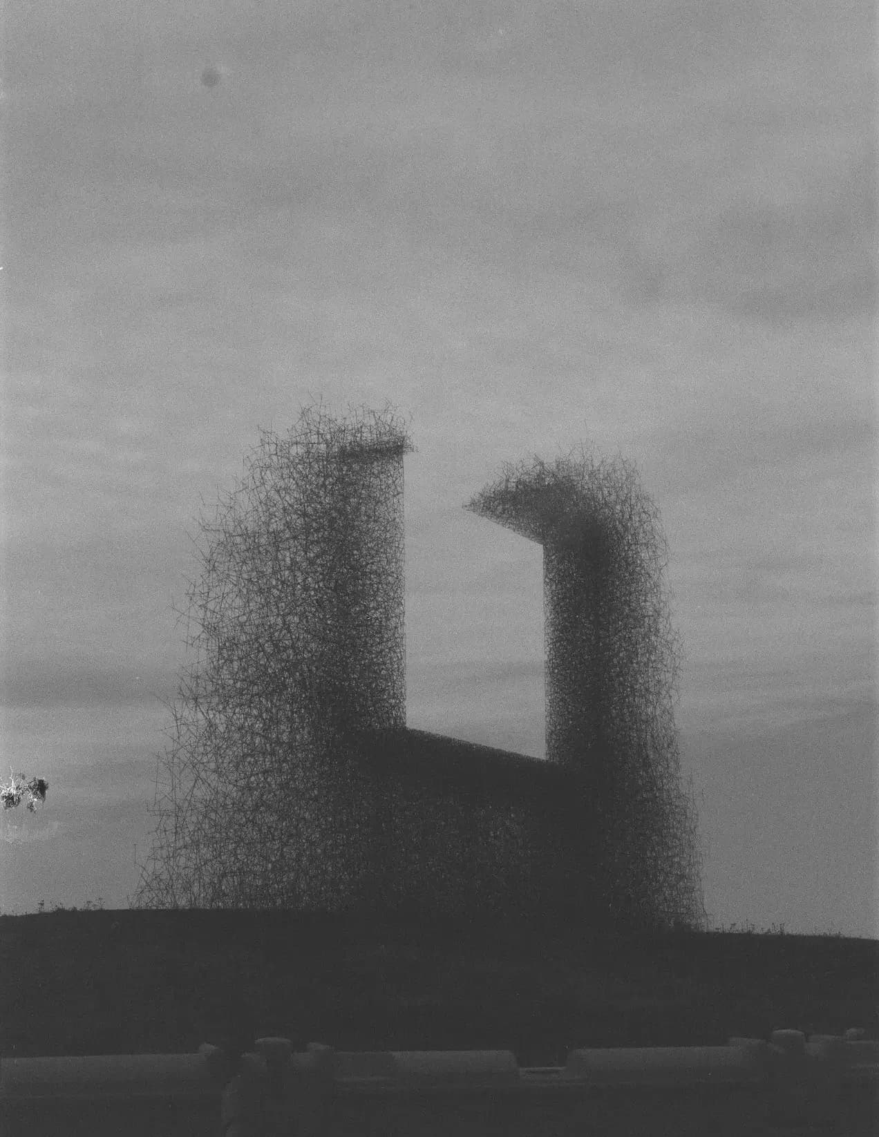 Reid Randall image