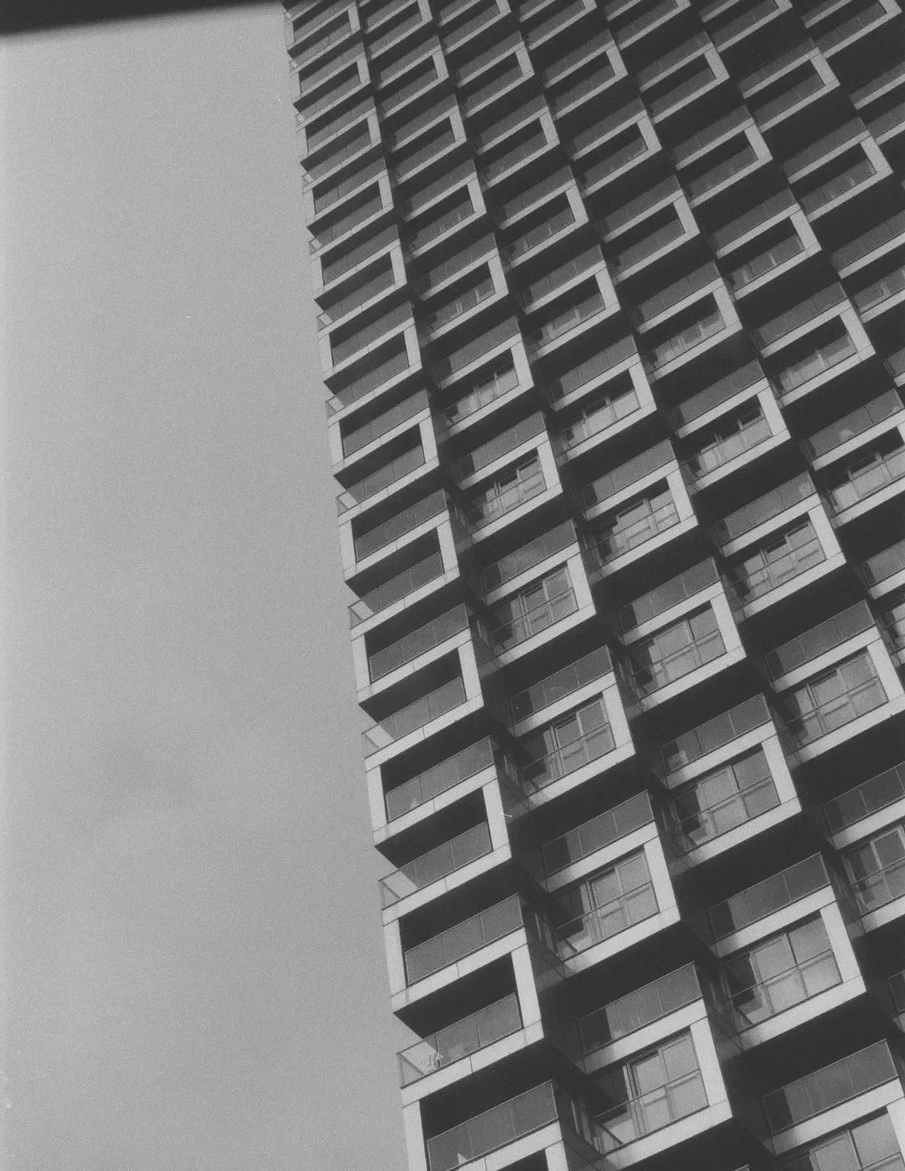 Reid Randall image