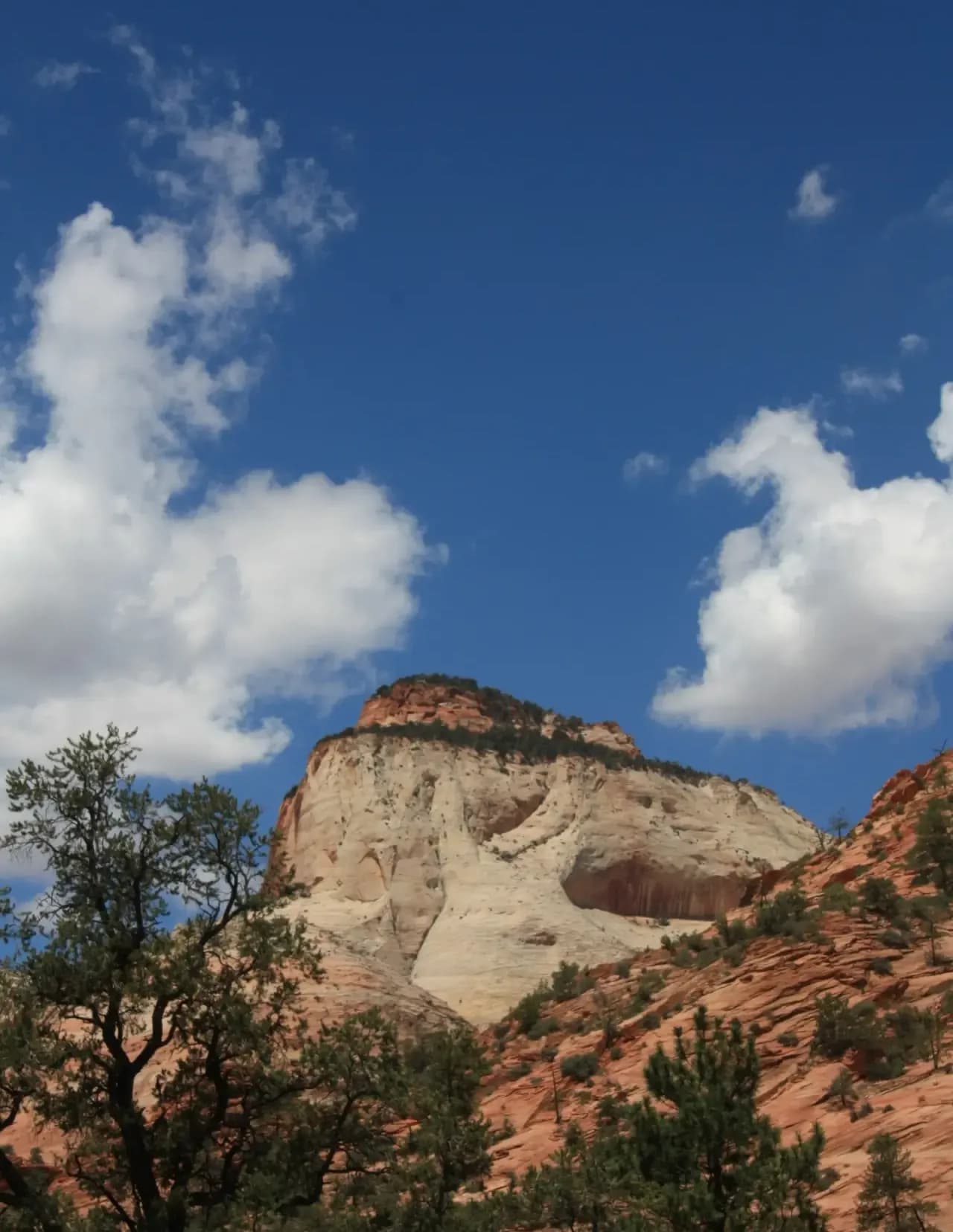 Reid Randall image