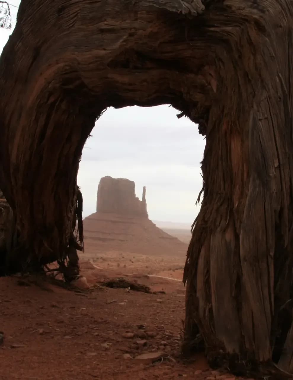 Reid Randall image