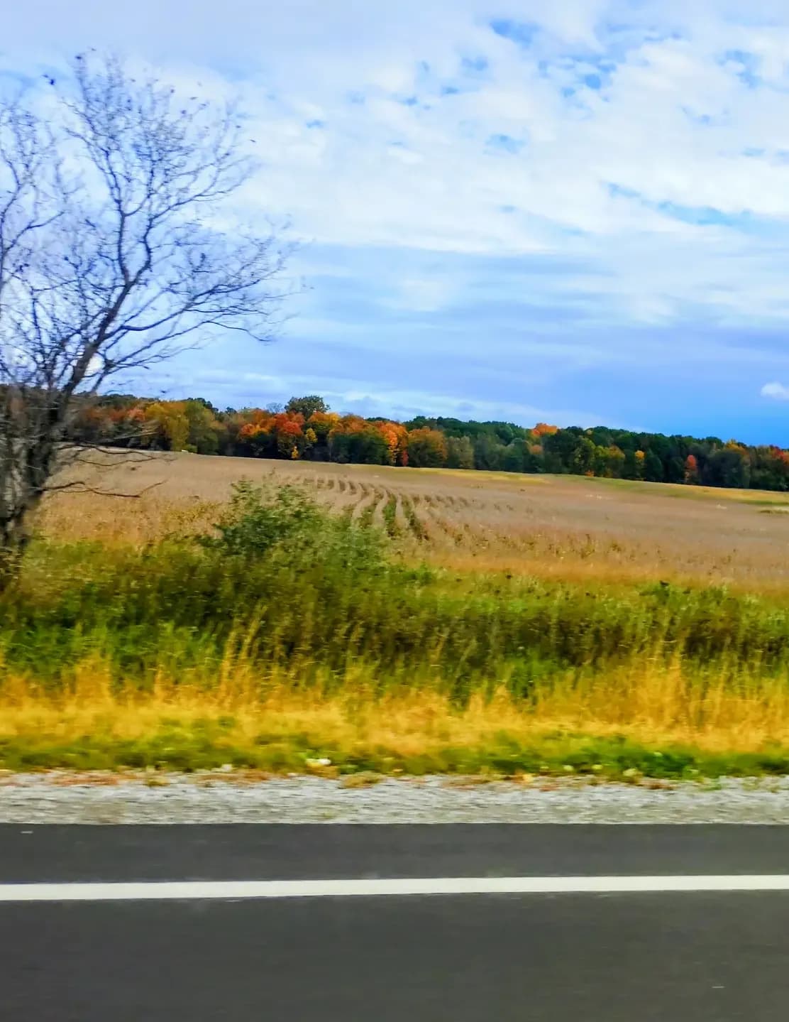 competitor lO0Y5