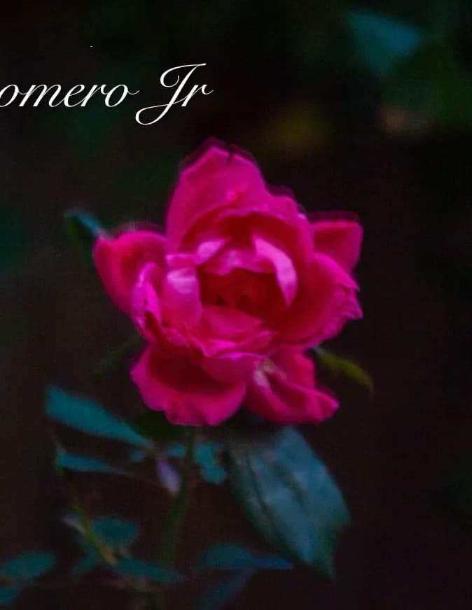 Isaac romero Jr image
