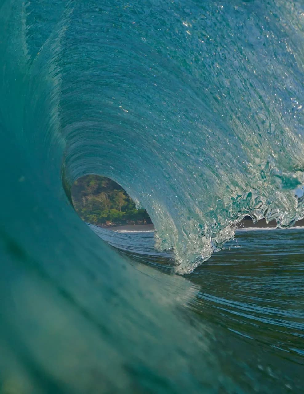 Cory Delanzo image