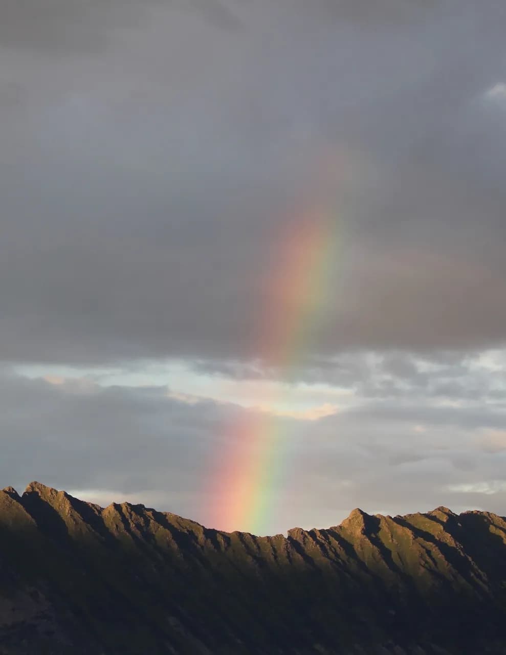 Westcoastie image