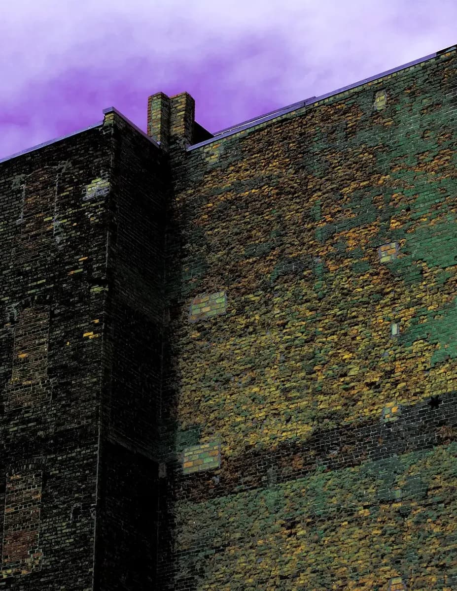 ADAMBOYD-ART.COM image