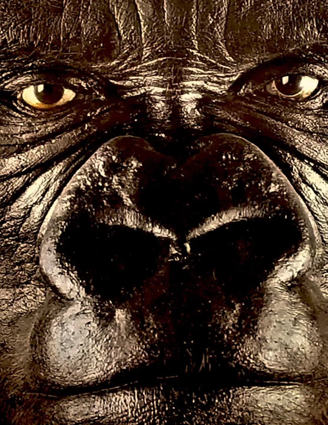 ADAMBOYD-ART.COM image