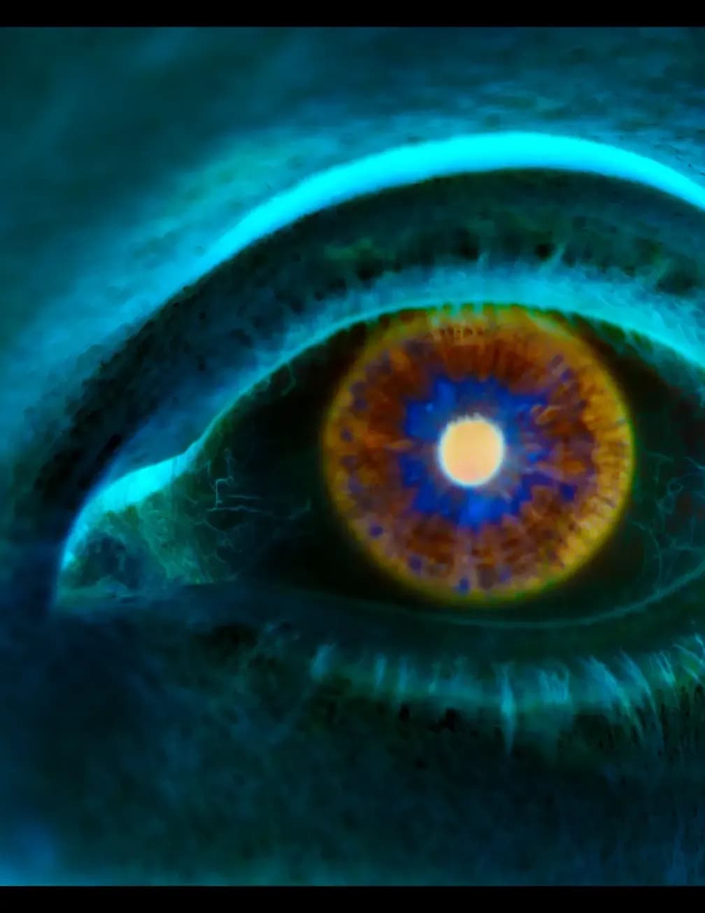 ADAMBOYD-ART.COM image