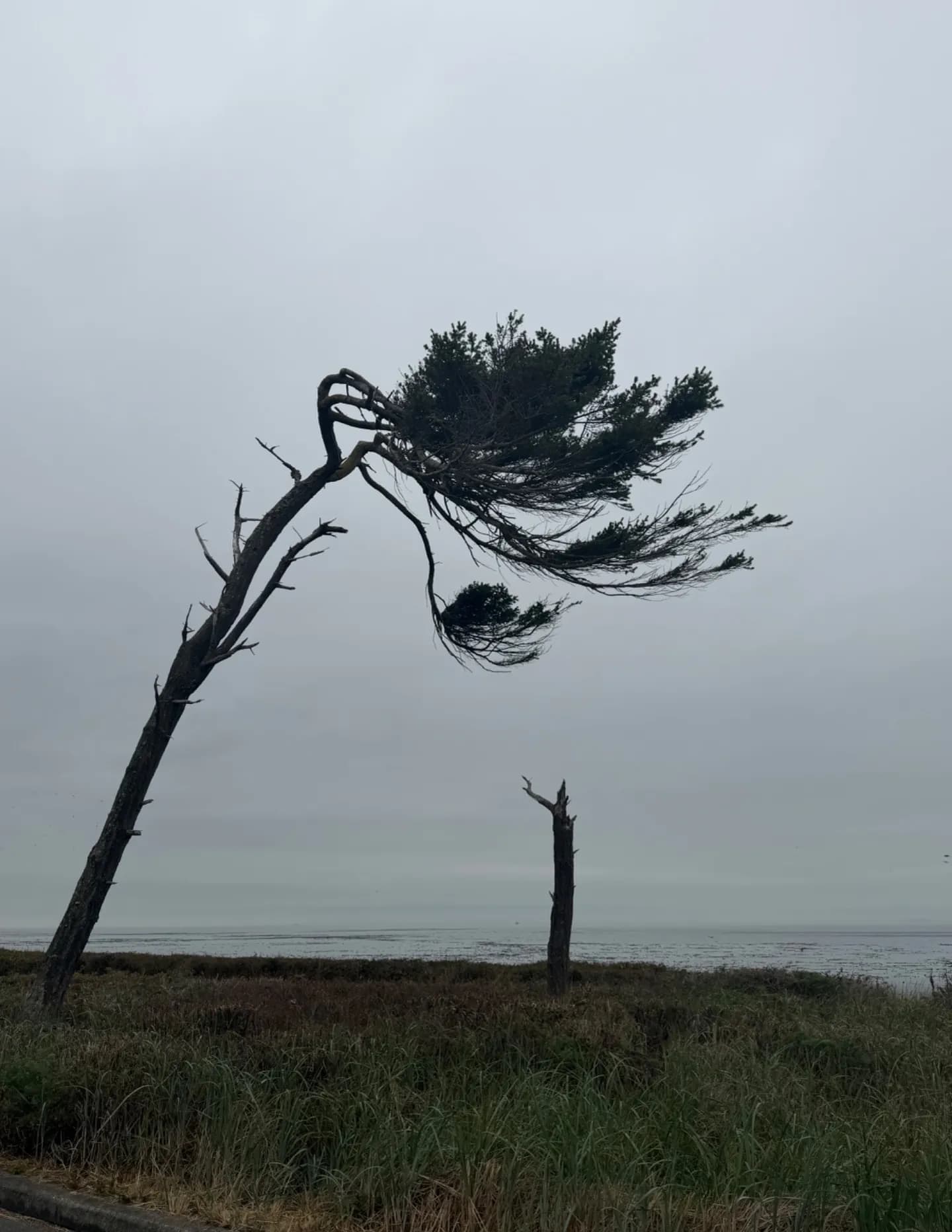 chuckratcliff image