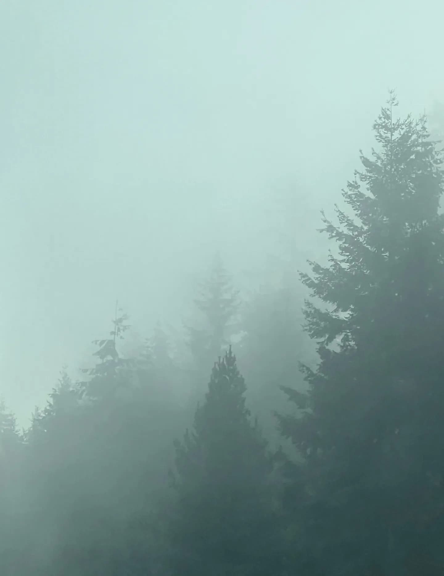 chuckratcliff image