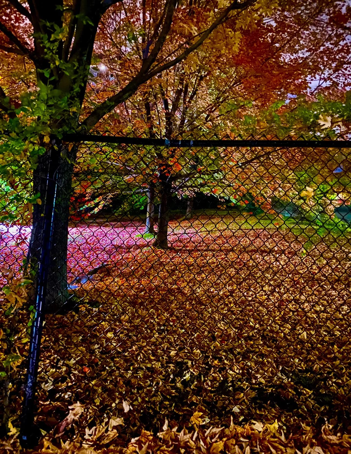 rawestall image