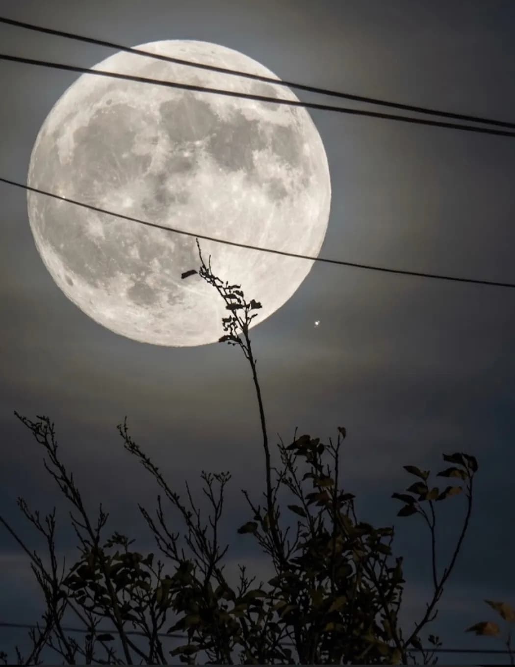 GOODOLSHANDY image