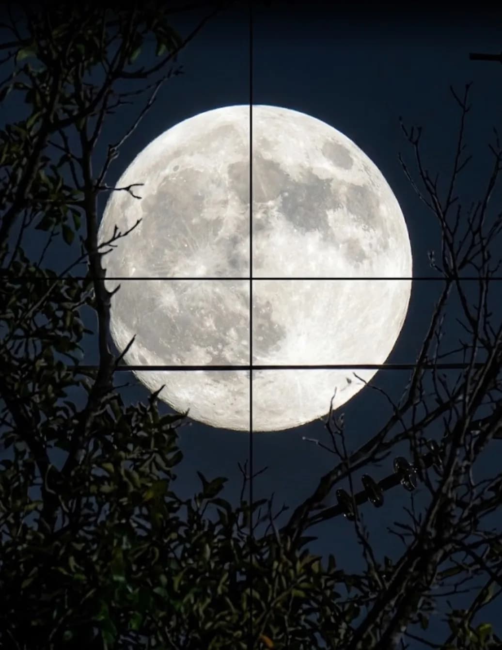 GOODOLSHANDY image