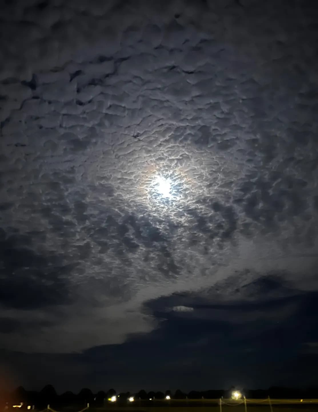 CapturedByOmari image