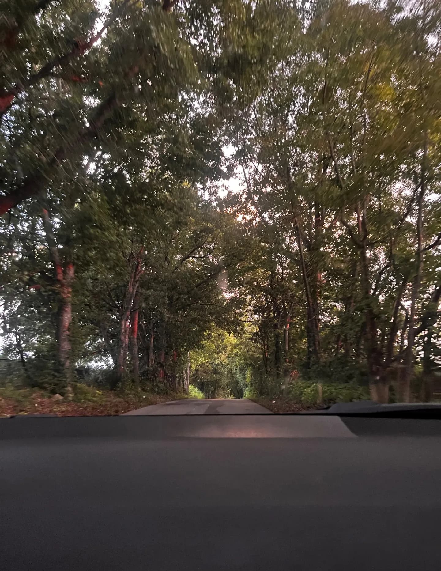 CapturedByOmari image
