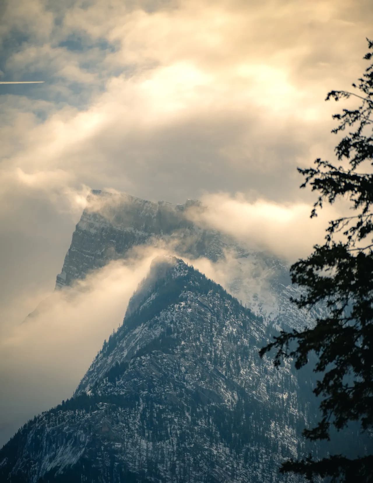 Chris Hopper image