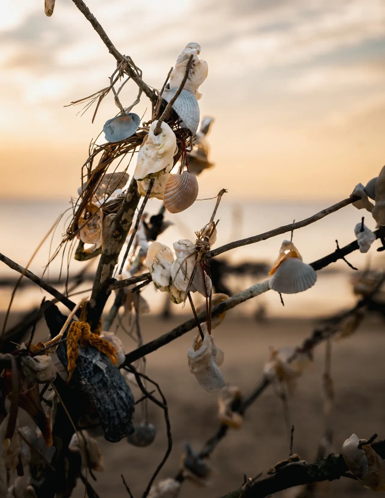 Chris Hopper image