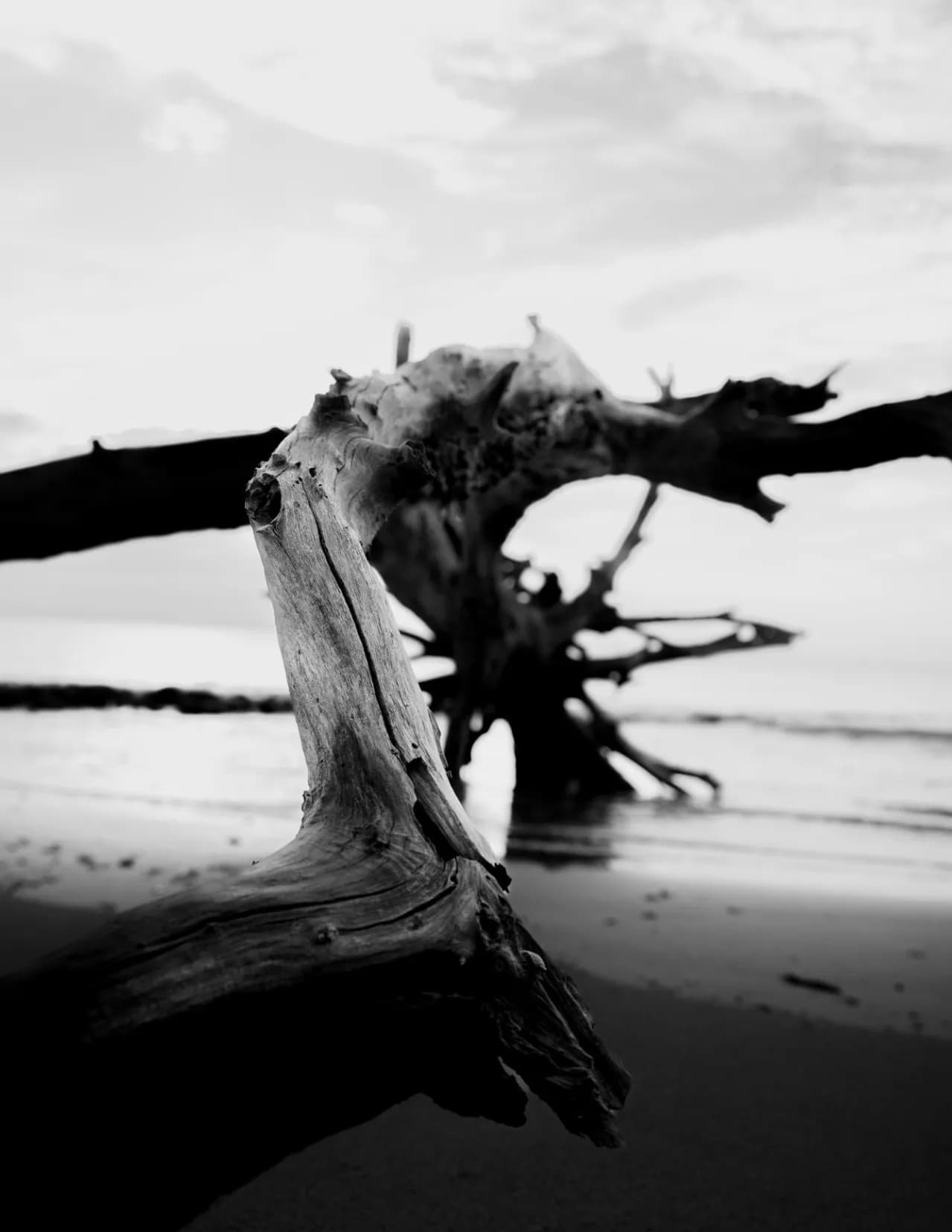 Chris Hopper image