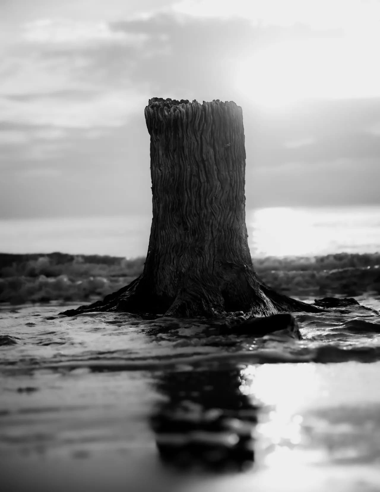 Chris Hopper image