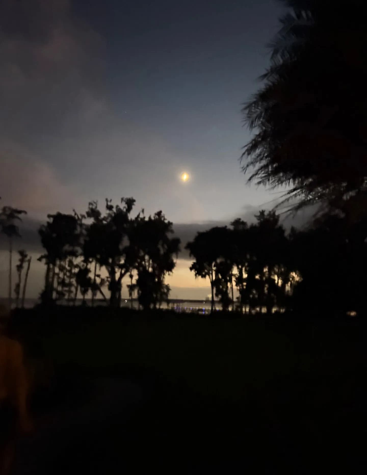 DOBBYzMOM image
