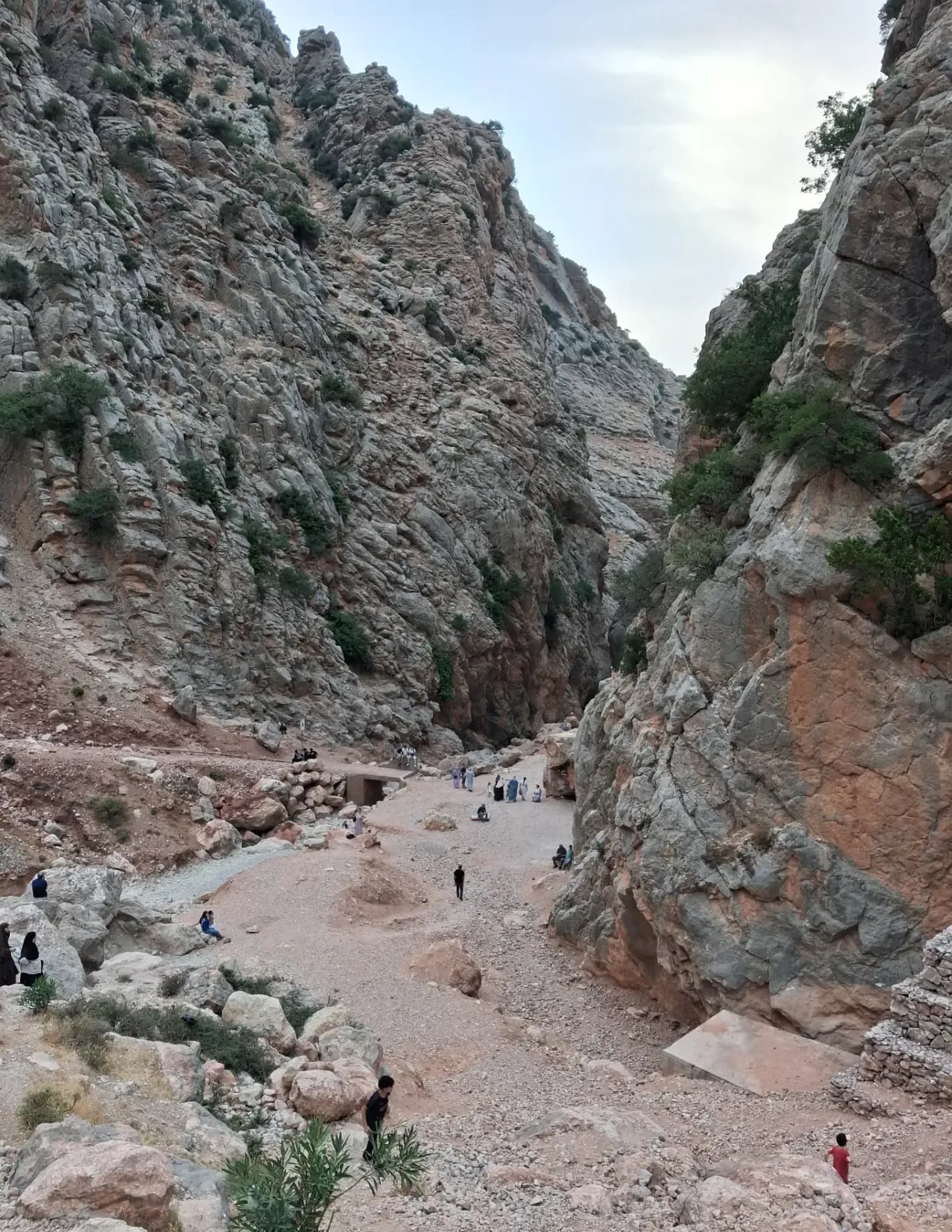Samir kadi image