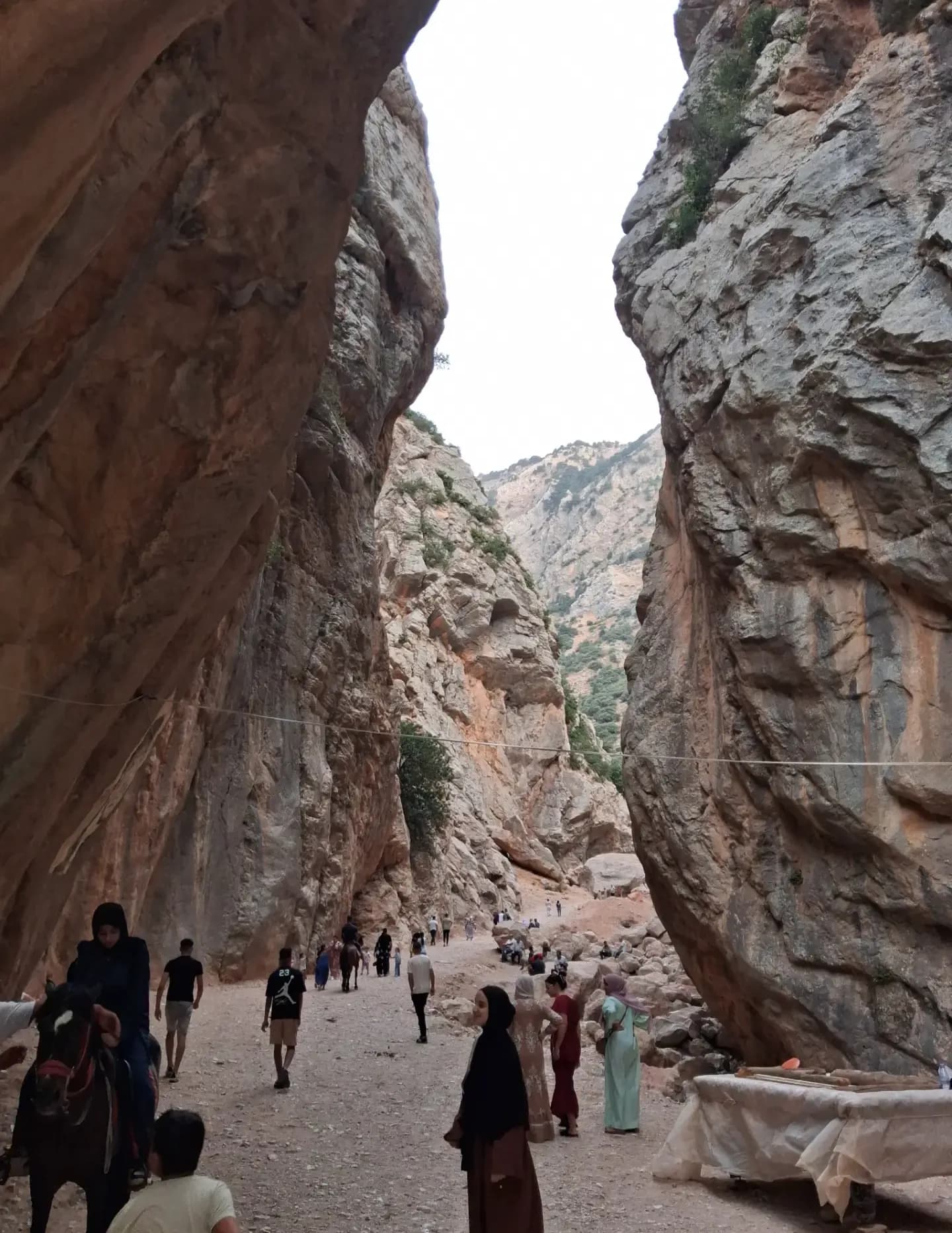 Samir kadi image