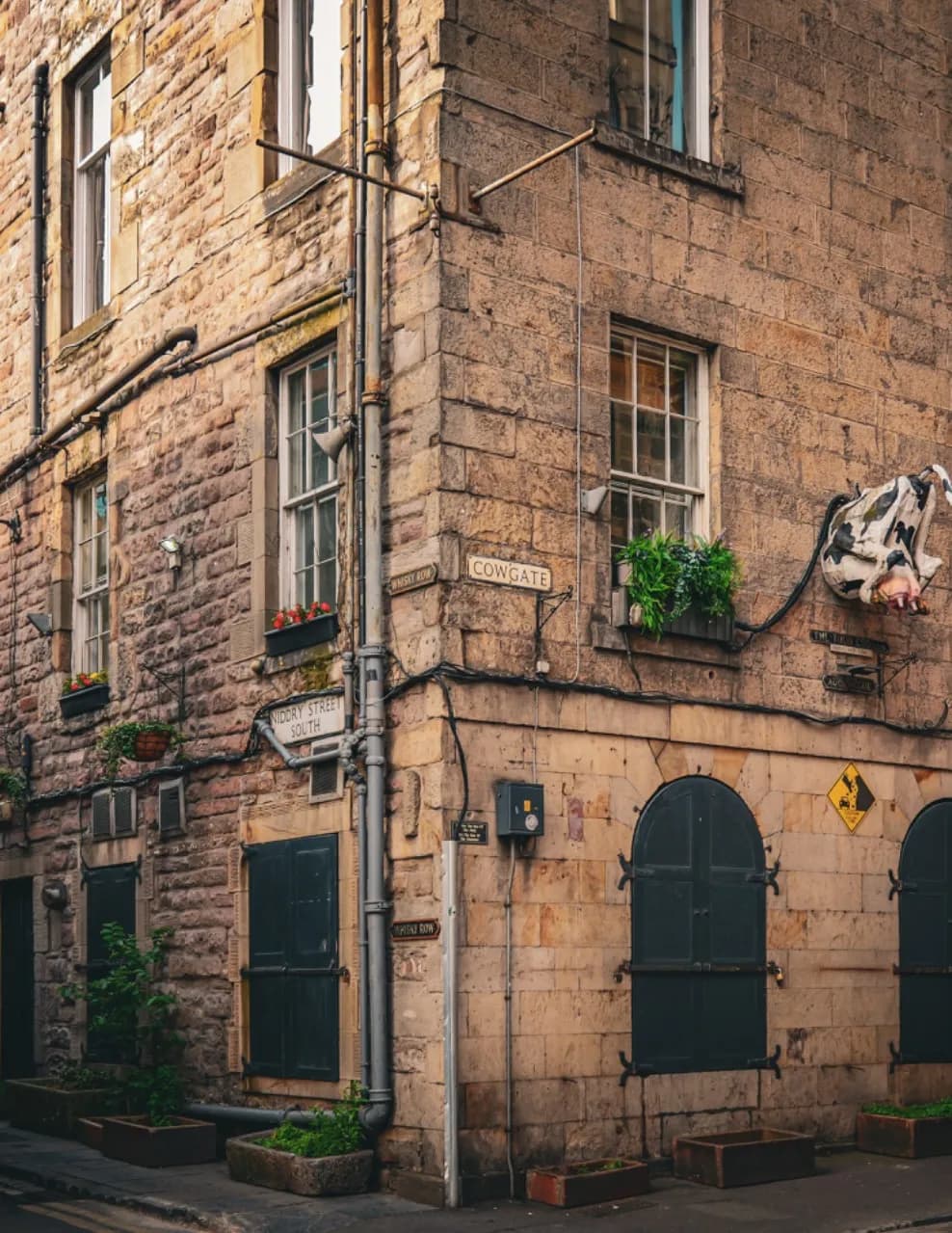 Adriana image