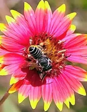 Jennifer D Mccowen image
