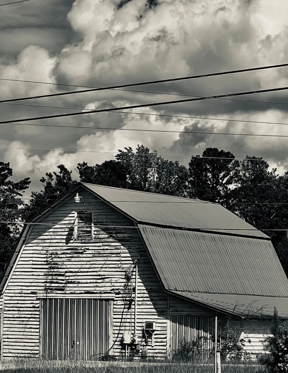 Beautifully forgotten image