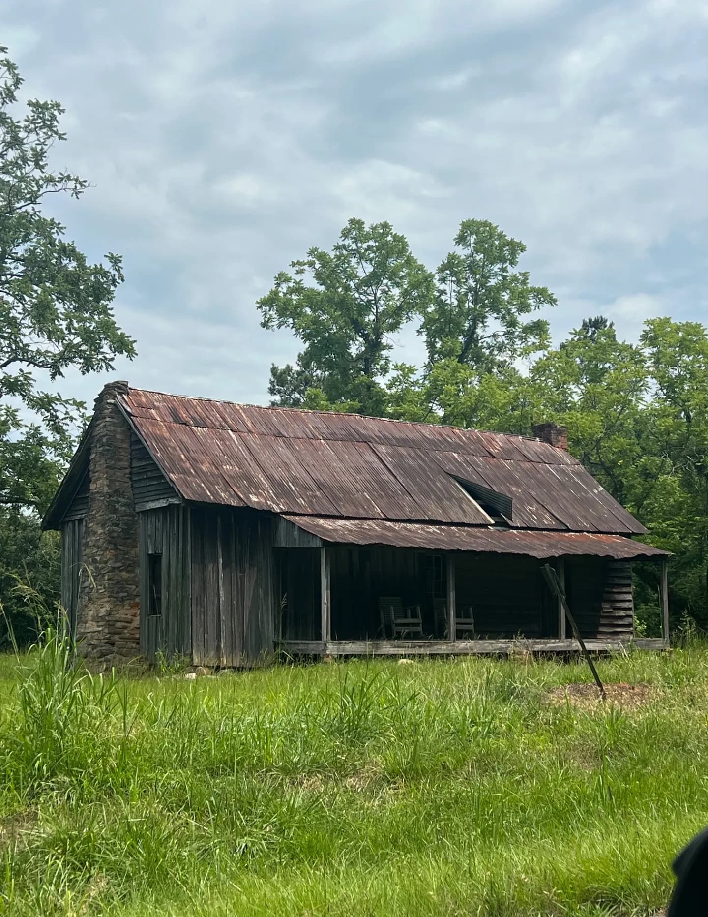 Beautifully forgotten image