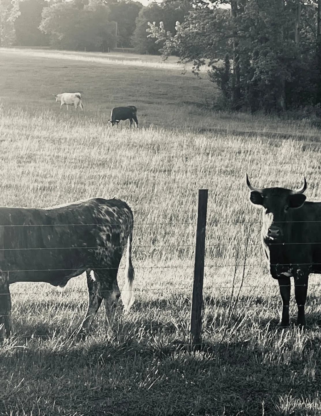 Beautifully forgotten image