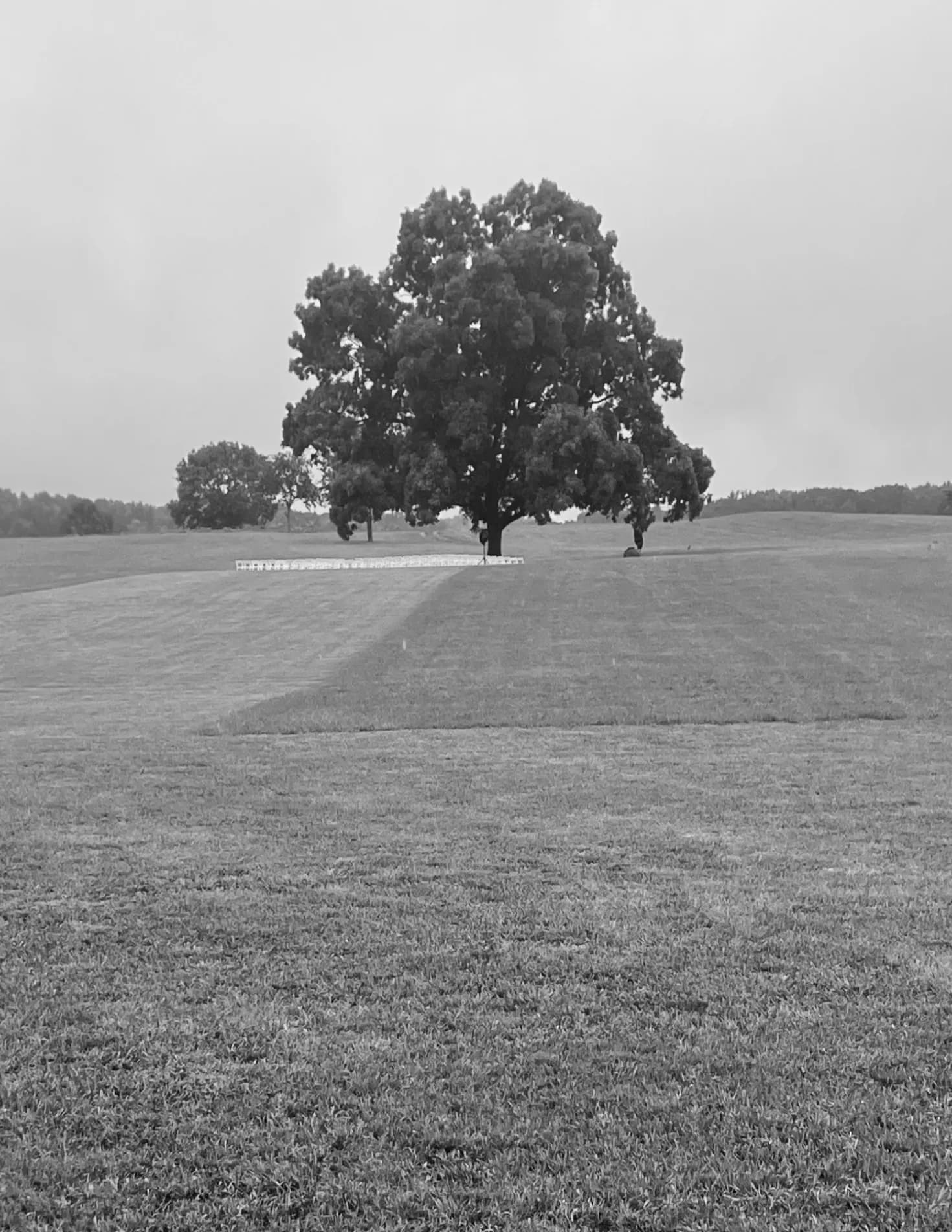 Beautifully forgotten image
