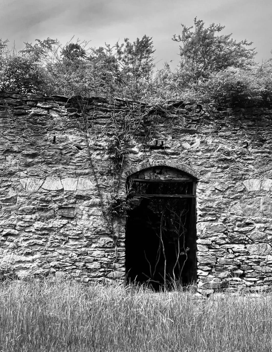 Beautifully forgotten image