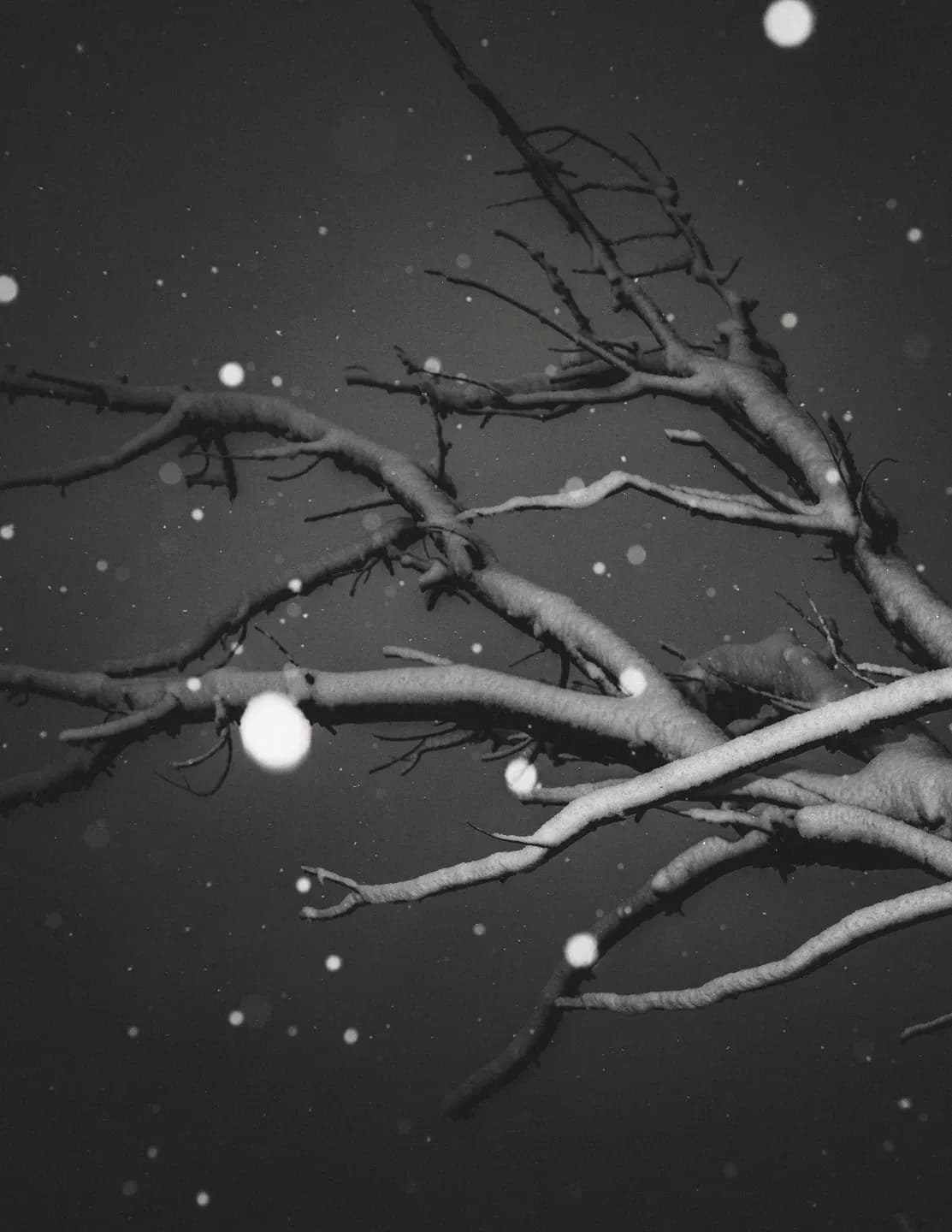 Jeff Tidwell image