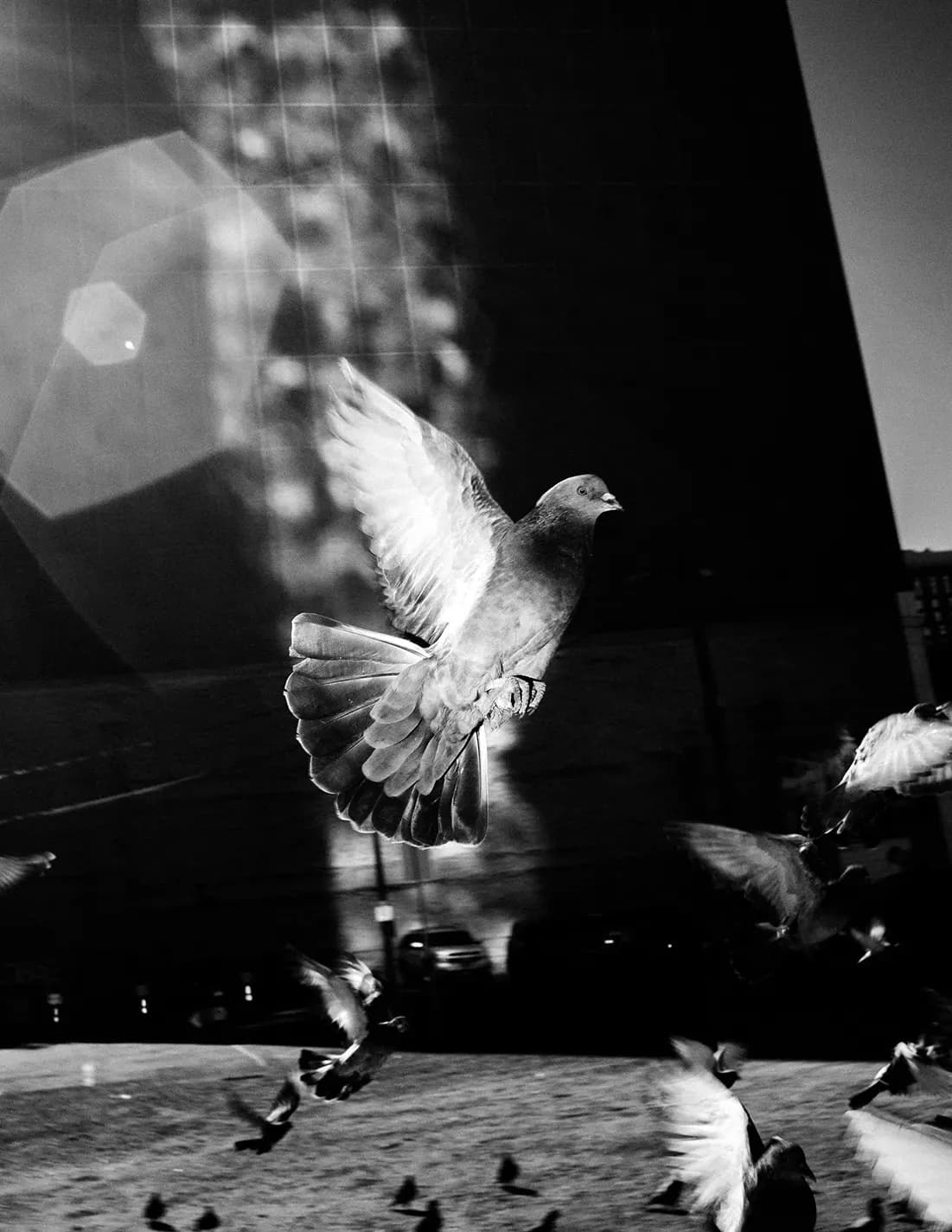 Jeff Tidwell image
