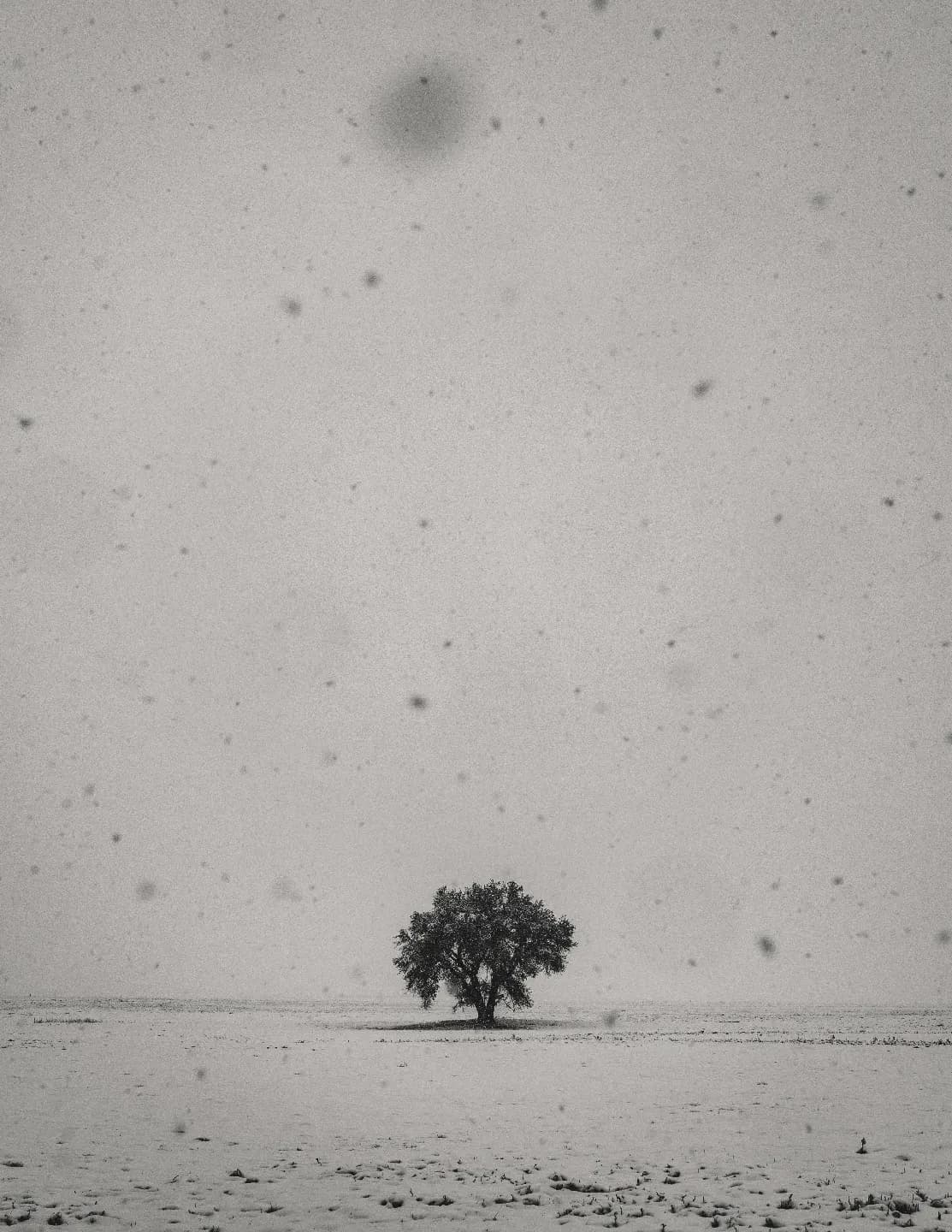 Jeff Tidwell image