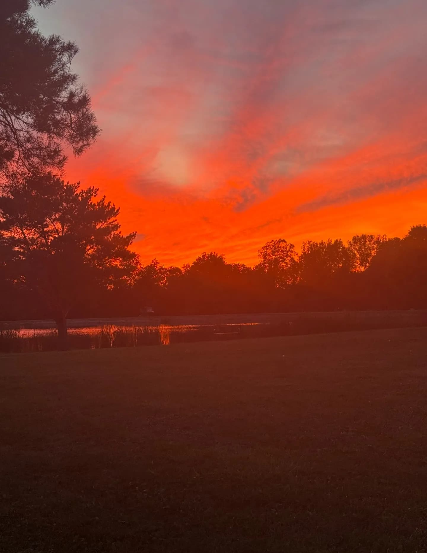 MariaaaSue29 image
