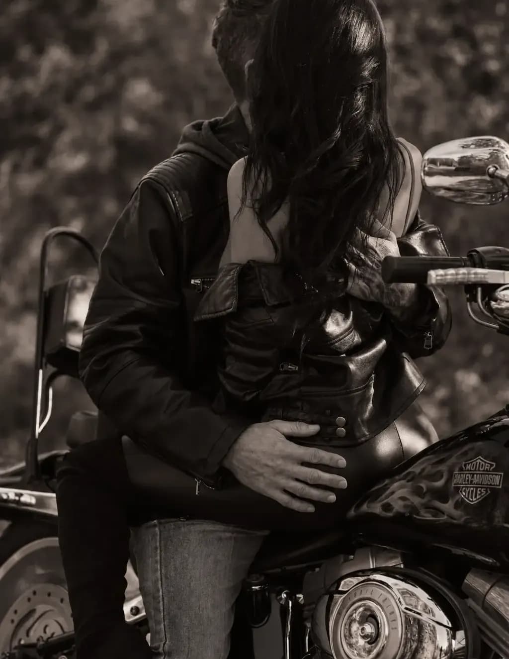 Wild Rose Photography  image