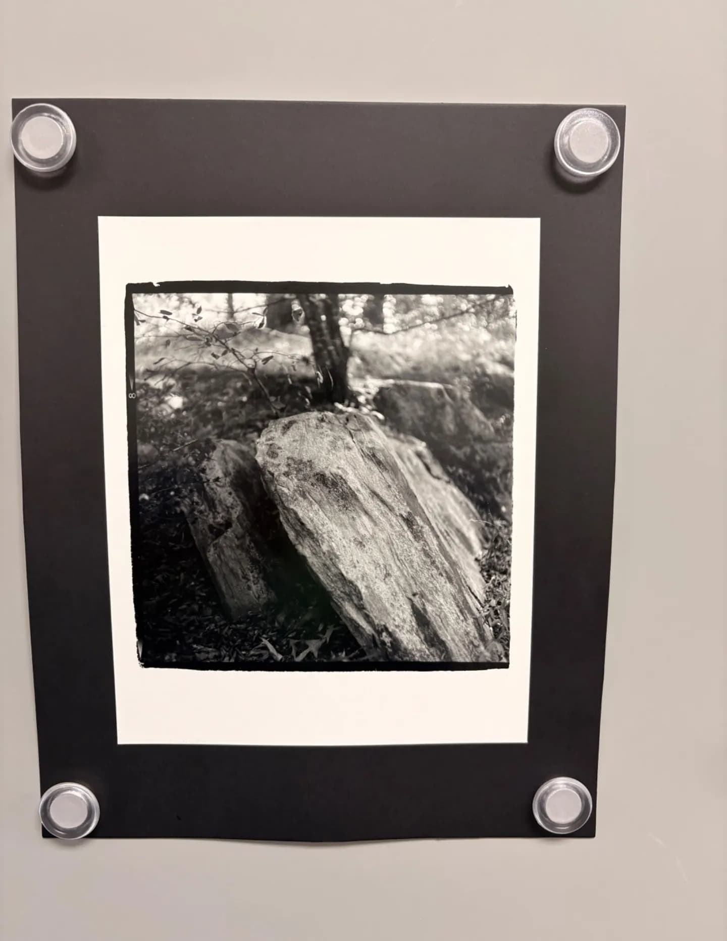 ckbrown image