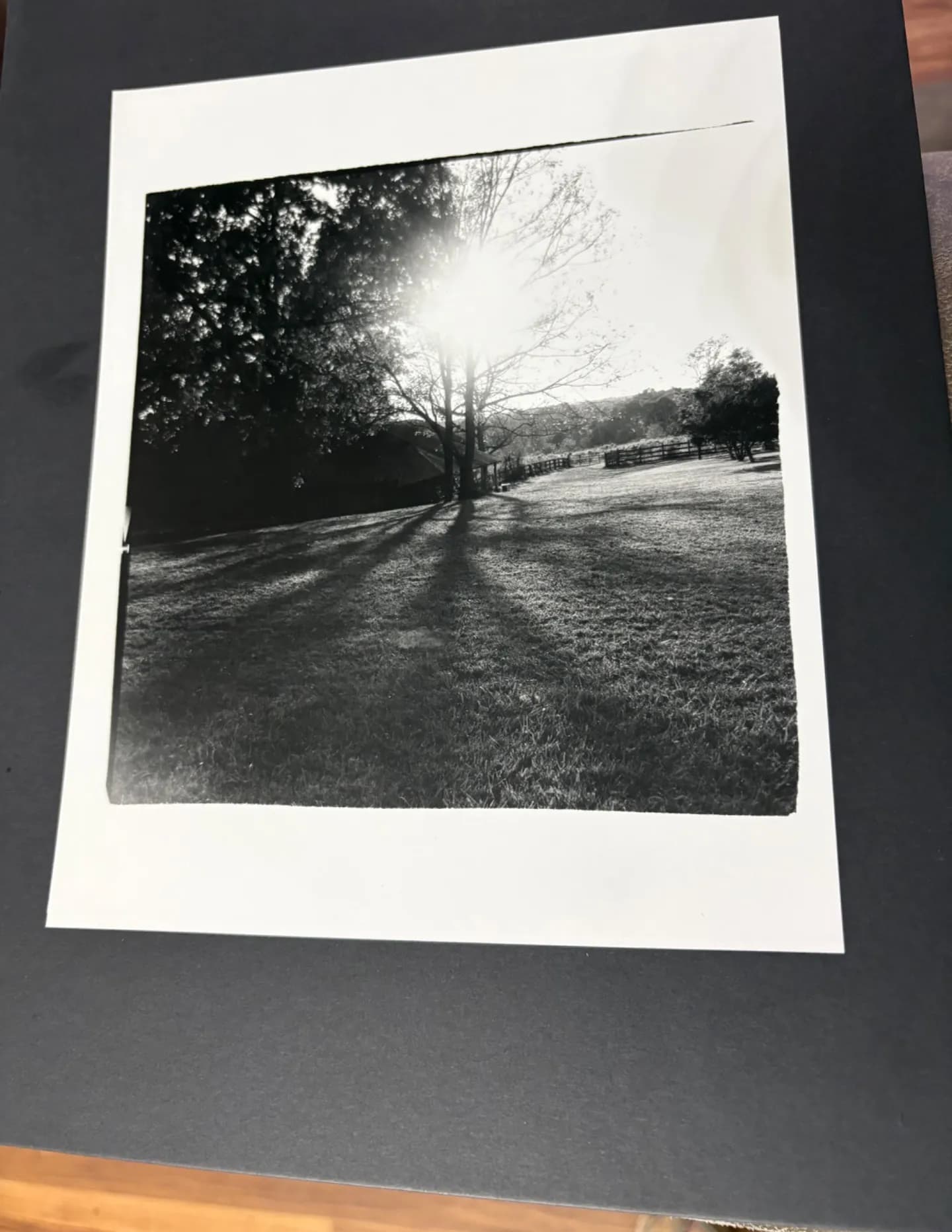 ckbrown image