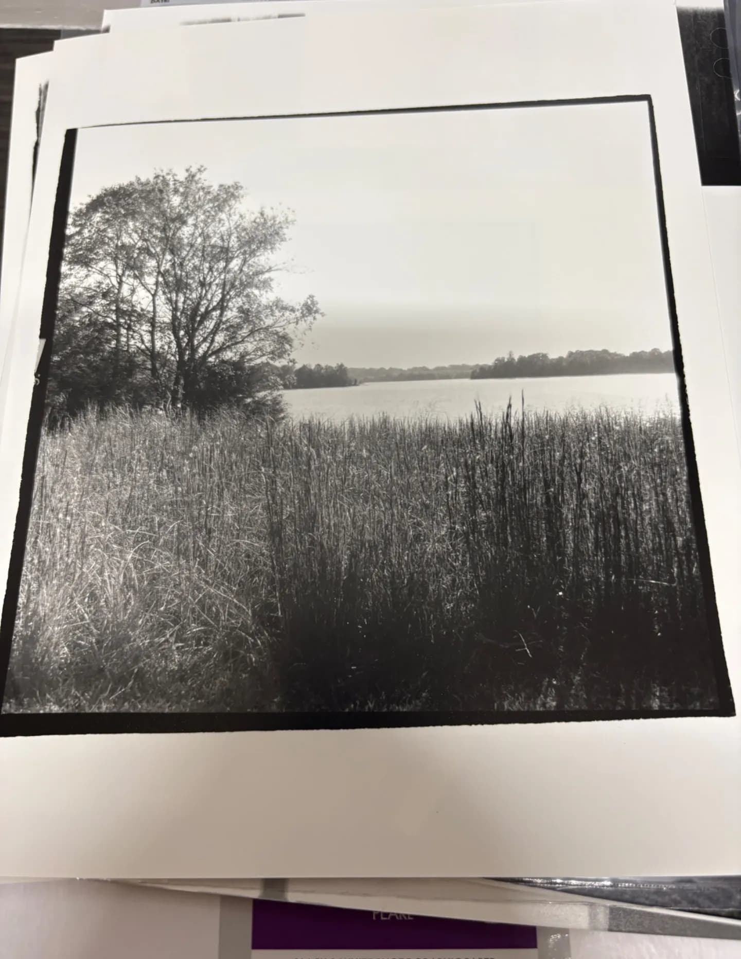 ckbrown image