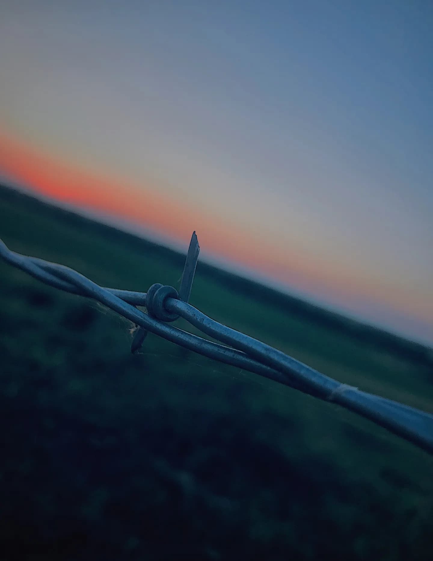 Ellyjade image
