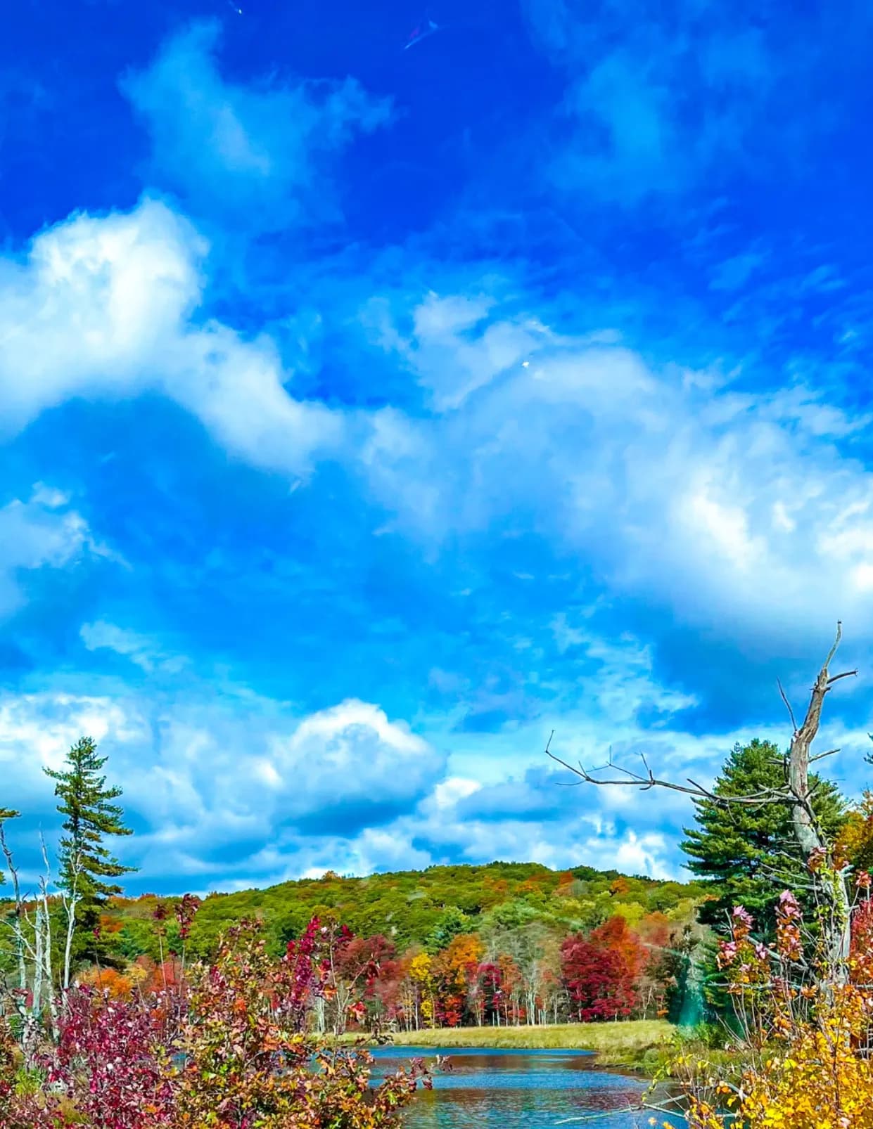 KMTPhotos image