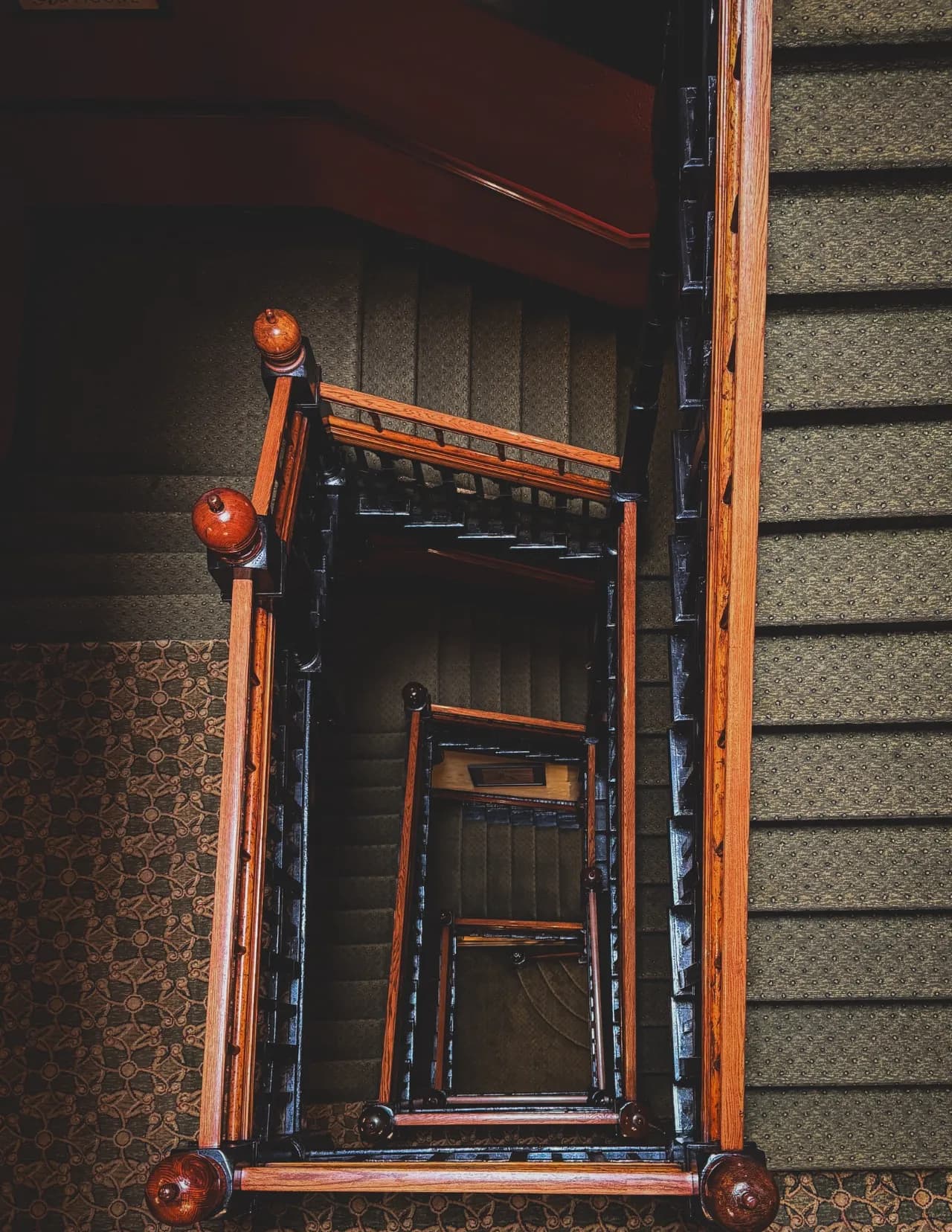 Kaylee Nelson Photography image