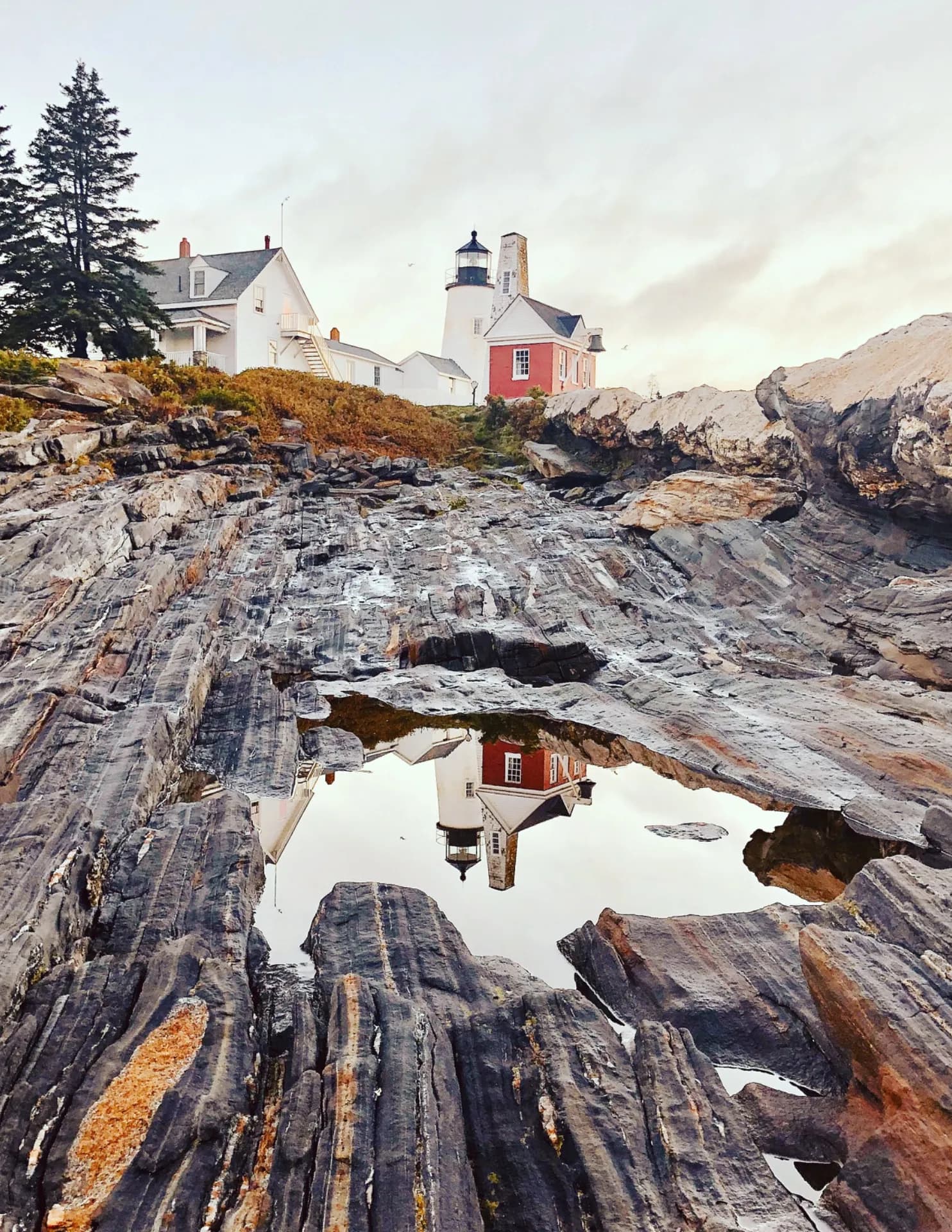 kebwilson image
