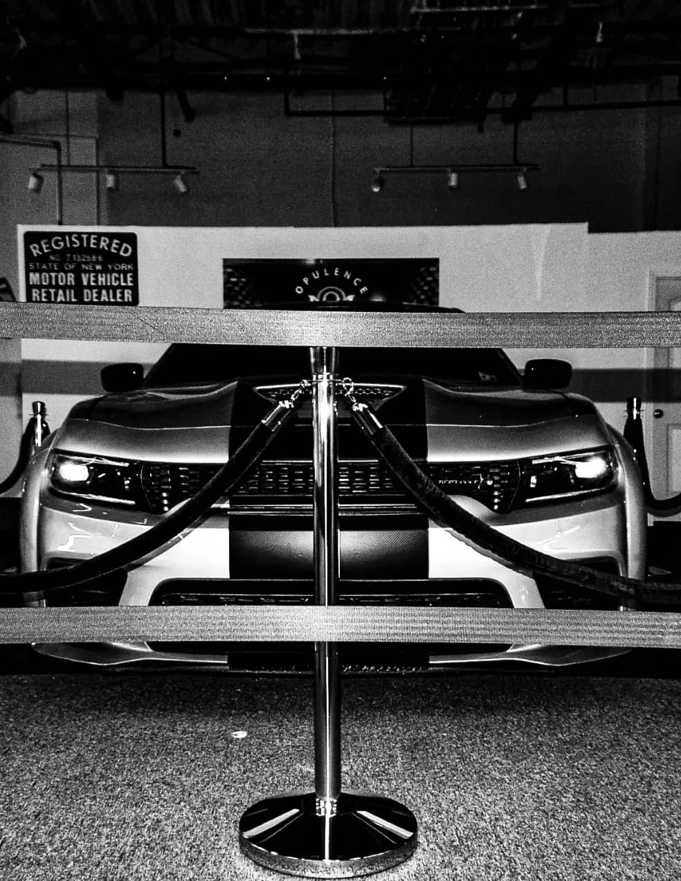 competitor lP6DO
